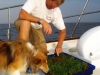 Dowry Creek to Albemarle Sound 035