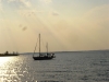 Dowry Creek to Albemarle Sound 036