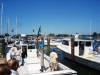 Solomons 114