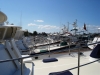 Solomons 184