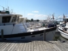 Solomons 186