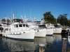 Solomons 190