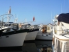 Solomons 232