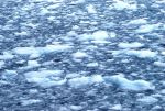 Antarctica photos 2 435
