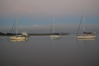 dsc_0170