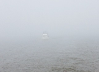 fog