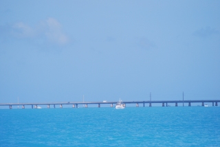 dsc_0017