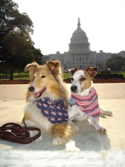 washington-dc-038