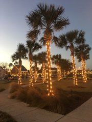 img_3055