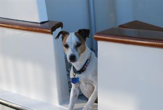 Chesapeake 062