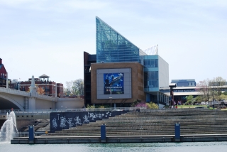 dsc_0119